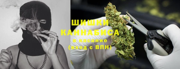 apvp Алзамай