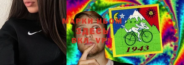 apvp Алзамай